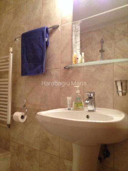 apartament duplex zona centrala+boxa +garaj - 11