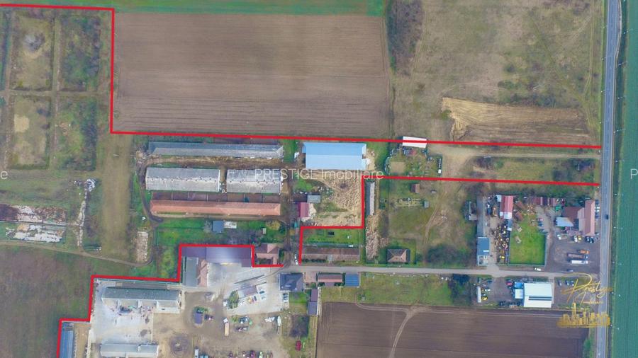 Domeniu - Centru de colectare, 7 ha de vanzare in Valea lui Mihai - 10