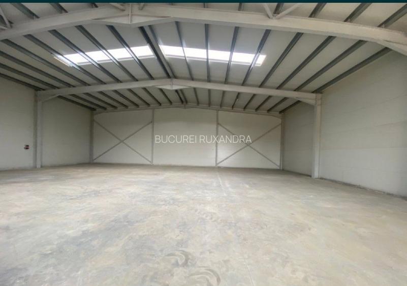 Proprietar Hala cu rampa de inchiriat 593mp Parc TBM centura Chiajna Chitila  - 10