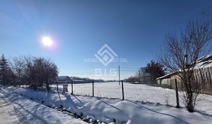 Teren cu suprafata 5300 mp intravilan - 3