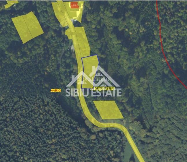 Oportunitate de investiție – Teren pentru hotel / pensiune pe Valea Avrigului - 3