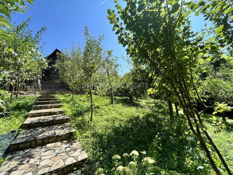 Conacul Mura in Baile Olanesti, O Bijuterie Naturala - 14