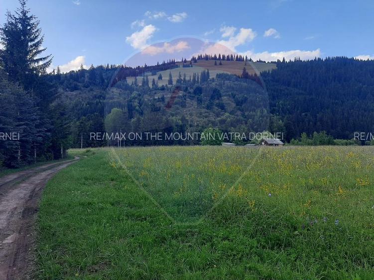 Vanzare Teren 13.650 mp , Suceava / com.Dorna Arini - 3