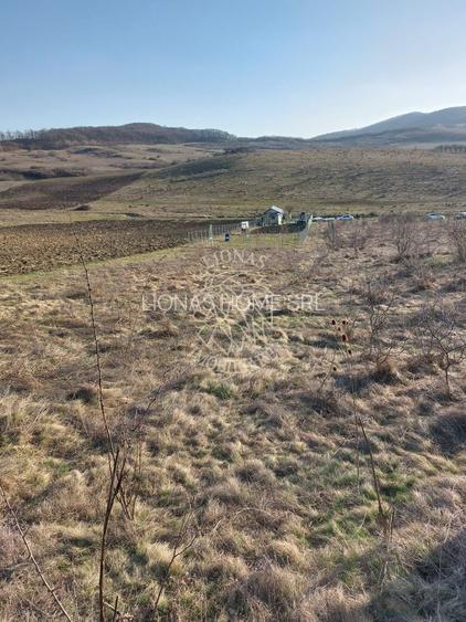 Teren 2100 mp in Zona Valea Stanelor - 2