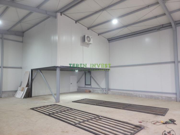 Hala depozitare -  Cernica – Theodor Pallady - 14