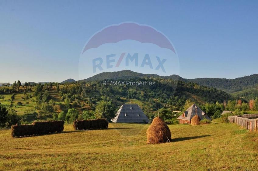 Vanzare 3 case de vacanta si 15750 mp teren, Botiza, Maramures - 2