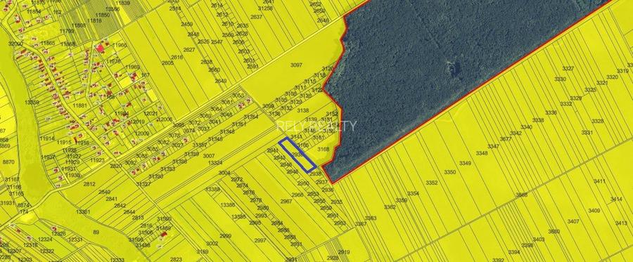 Vanzare teren Frumusani, 7.961 mp, D: 175 m, langa padure - 5