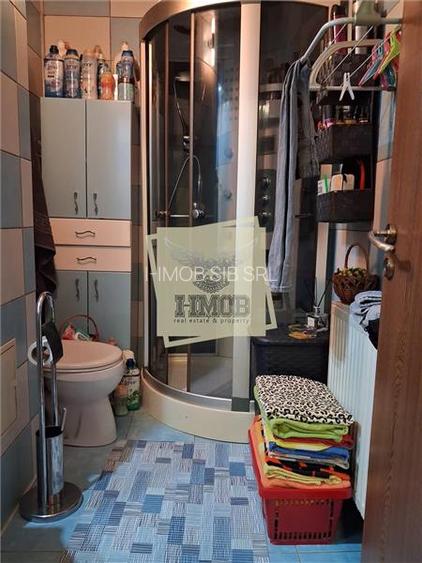 Apartament decomandat 1 camera Pictor Brana - 11