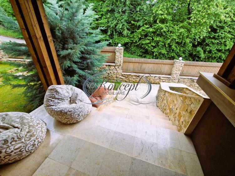 Casa deosebita in Faget - 5