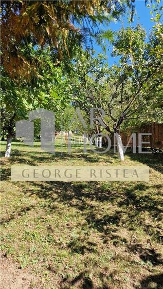 Vila  Provita de  Jos 380mp - 28