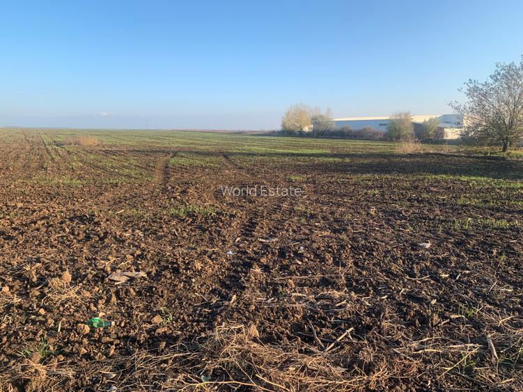 Ocazie!!!! Teren intravilan, 20000mp , Popesti Leordeni, utilitati in zona! - 6