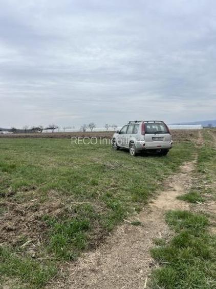 RECO, teren intravilan in Vadu Crisului - 3