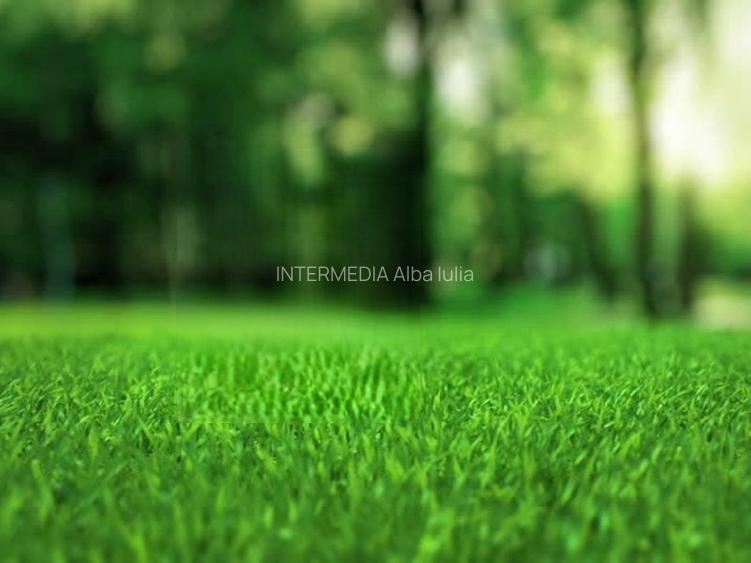 Teren Intravilan | Alba-Micesti | ORIZONT | 395 mp | d=17 m | Apa Curent Gaz - 4