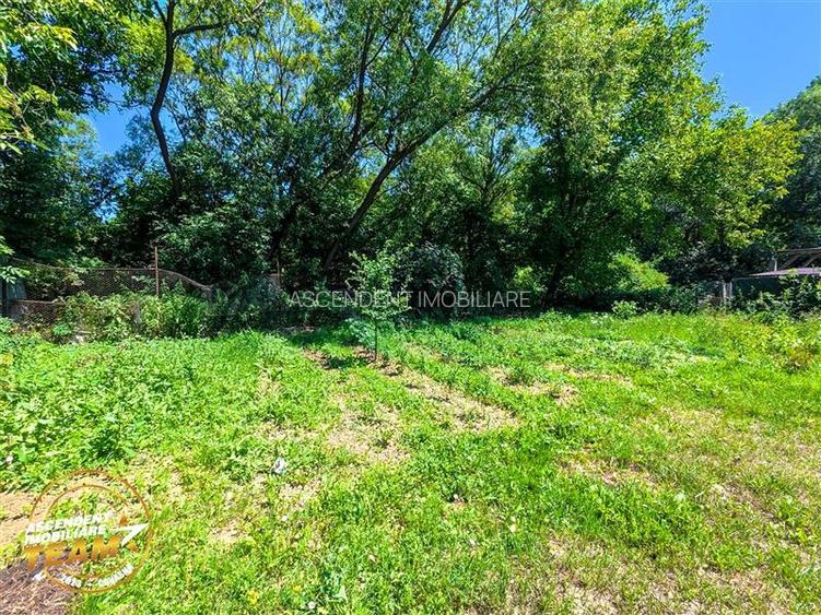 Iubesti natura? Vrei sa auzi ciripitul pasarilor si sa fii langa izvoarele terma - 7