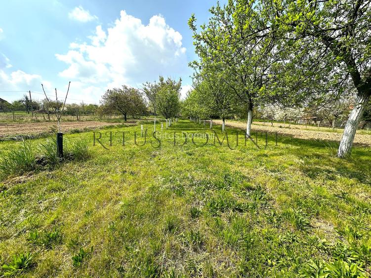 Teren Intravilan de Vânzare, Cetariu, 5450mp - 2