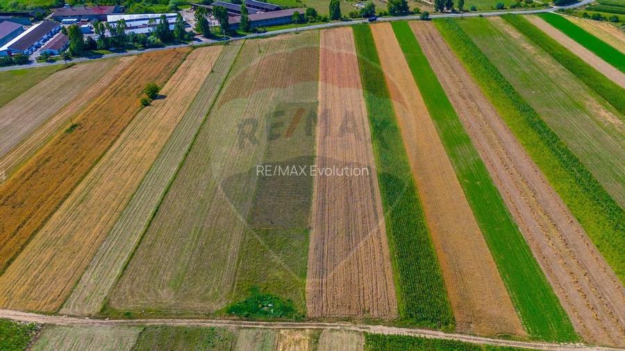 TEREN extravilan- 6 E/MP- CU PLANTATIE DE TRANDAFIRI! Teliu 7000mp - 4