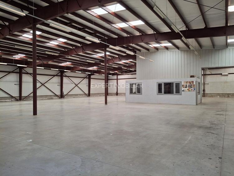 Hala productie /depozitare spatii cazare Branesti/Makita - 12