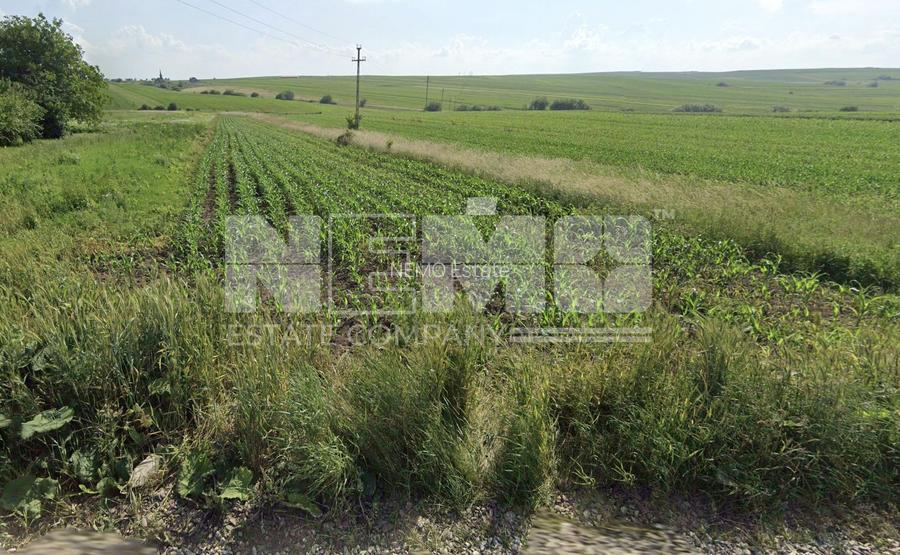 Teren intravilan 1.822 mp | Sfântul Ilie – UAT Șcheia | 145.000 € - 3