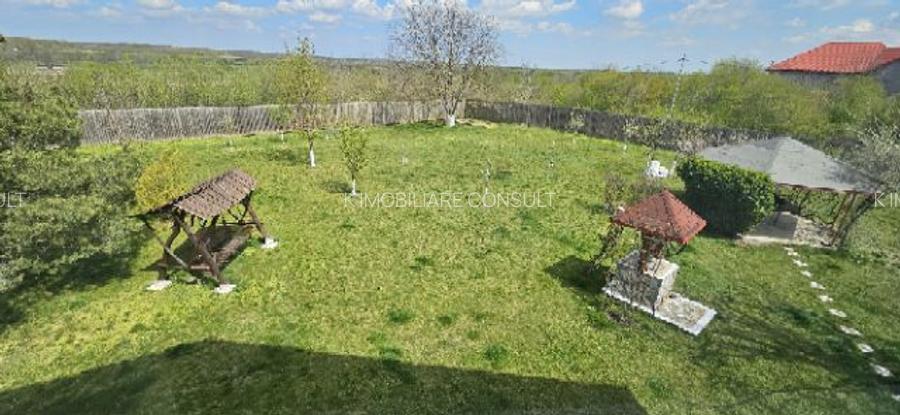 Ciopani vila 5 camere teren 4000 mp - 5