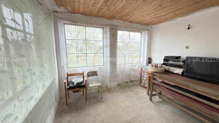 De vânzare 2 Case de vinificație cu Teren 4108 mp - Grădina Viilor - Carei - 5