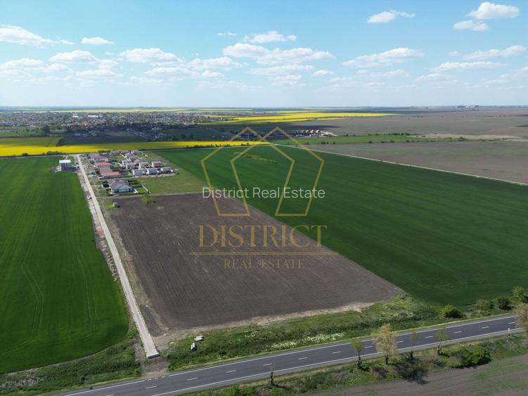 COM 0% Parcela cu deschidere la DN69, hale, servicii | Sanandrei - 3