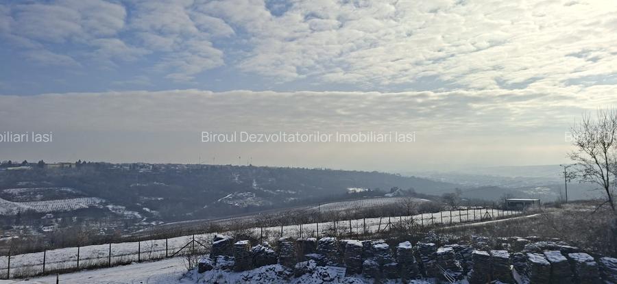 Apartament cu doua camere, spatios, Copou - 9