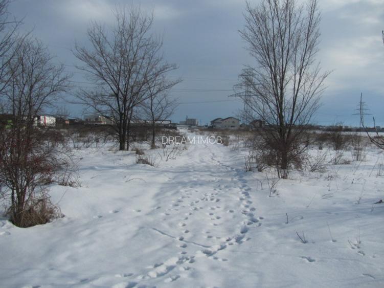 Clinceni - Olteni, Fortului, Stradal 5180 mp - 13