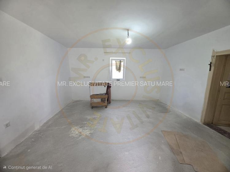 De Vânzare Casă Valea Vinului - 8