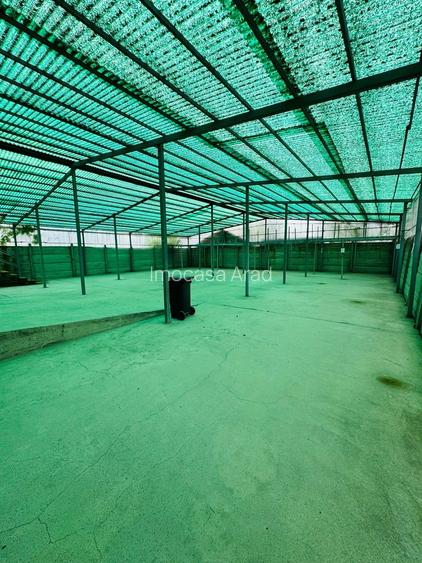 Trafic Micalaca de închiriat spațiu comercial P+E cu Depos. + Parcare - 13