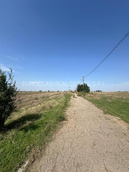 Exclusiv!Teren intravilan industrial - 141.210 mp - Agigea - 40 euro/mp (Cod E8) - 9