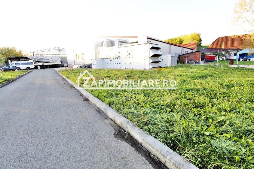 Spatiu de inchiriat Craiesti - 4