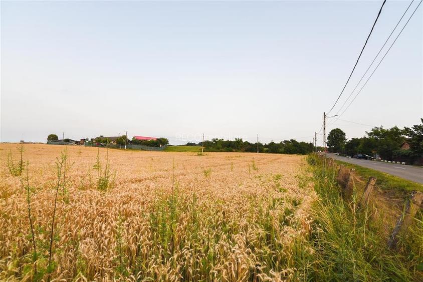 RECO Teren intravilan pentru casa 1000 mp Lazareni - 7