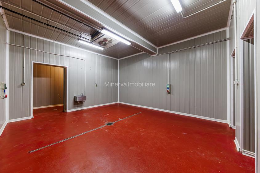 Hala depozitare, Dumbravița Timis, 1285 mp, Farma GDP Medical Cosmetice 6000 Eur - 14