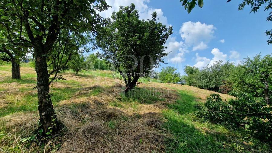 Teren intravilan pentru constructii de vanzare in Zorilor, Cluj Napoca - 3