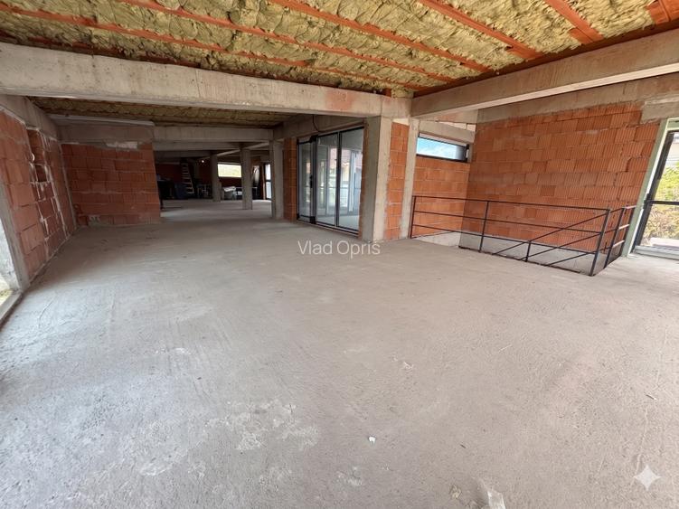 De Inchiriat: Spatiu comercial/Birouri/Clinica 162mp Open Space zona Muzeul Apei - 3