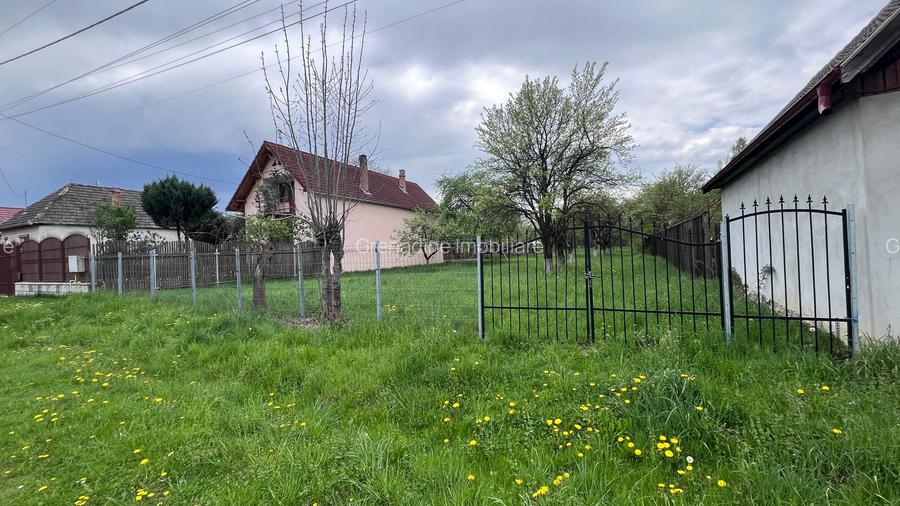 Teren intravilan de constructii si gradina 2030 mp-Tarlungeni - 3