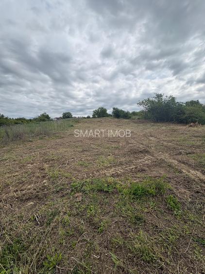 Teren Intravilat 15 ari Livada Meses ptr constructii 127.500eur - 3