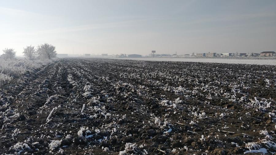 Stupini 500 mp Rezidential-Birouri -Sediu Firma - 3