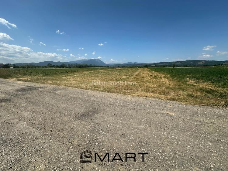 Teren 5000 mp Glajerie, zona Rasnov - 6