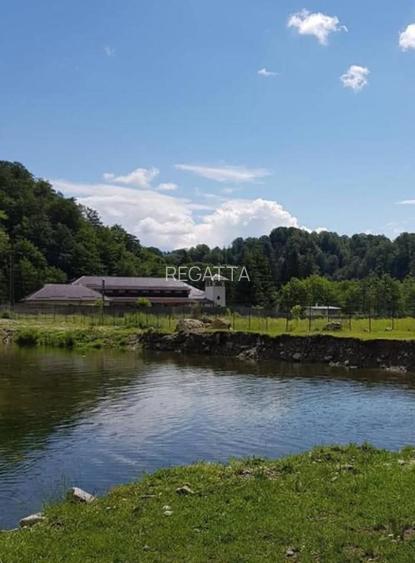 OPORTUNITATE ! Conac BRANCOVENESC Complet Renovat de Vanzare ! - 5