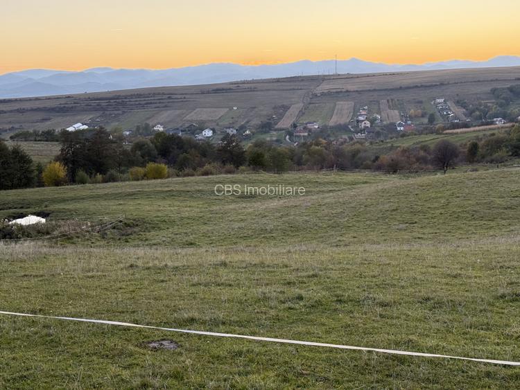 Teren extravilan de vanzare in Salicea 916mp+84mp drum necesita PUZ - 9