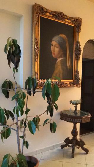 Ultracentral,vila S+P+E,faleza Dunarii,langa parc,Primaria Corabia,teren=1137mp - 10