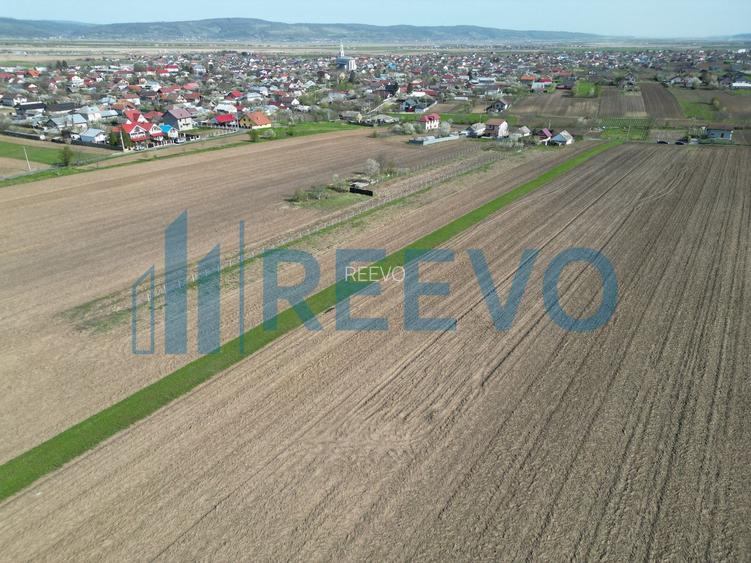 Teren de vânzare, Com. Nicolae Bălcescu, Jud. Bacău - 11