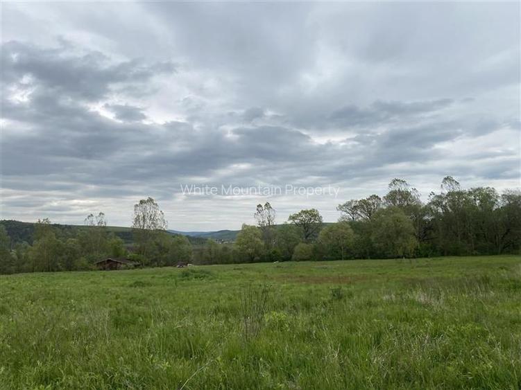 Oportunitate investitie | Teren 10 000 mp cu constructie de 530 mp la 10 km de V - 3