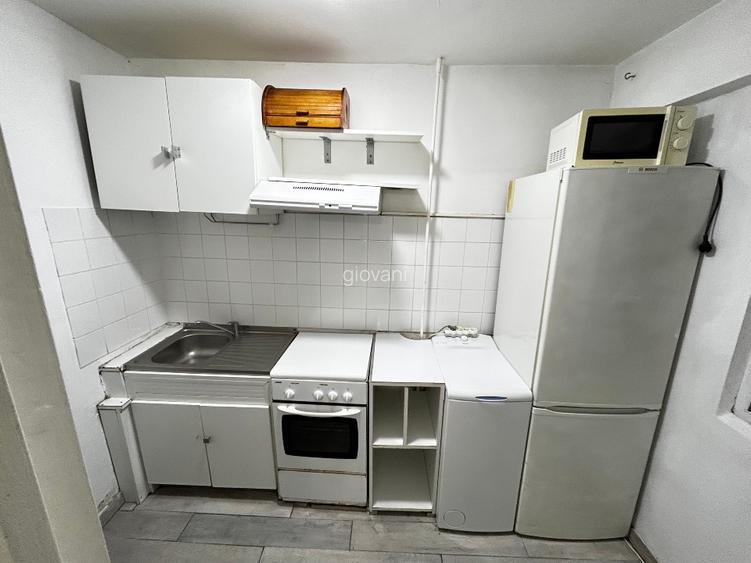 Lacul Tei -Teiul Doamnei Facultatea de Constructii  - 9