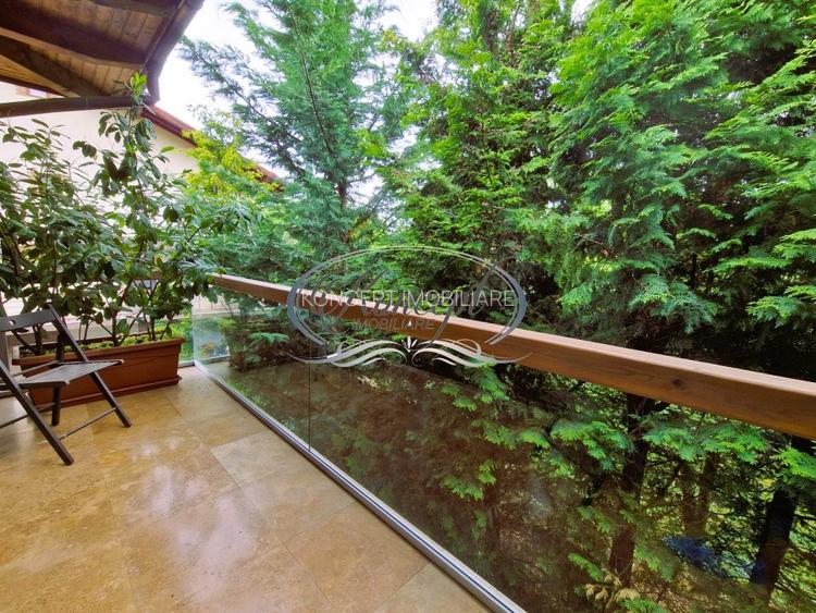 Casa deosebita in Faget - 18