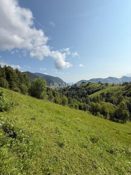 Teren superb intravilan  Pestera- Brasov, 11.908 mp - 3