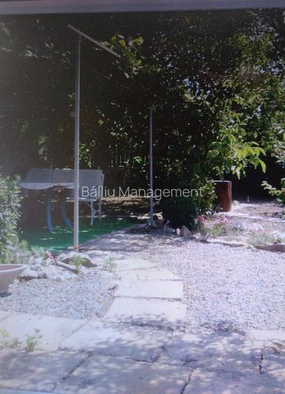 SUPER OFERTĂ – CASĂ ÎN VADU, APROAPE DE PLAJA SĂLBATICĂ! - 5