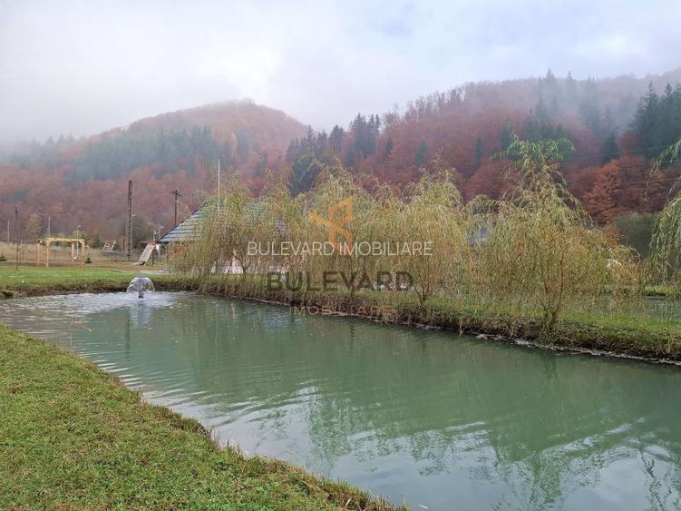 Proprietate cu potențial turistic în zona montană a Țării Lăpușului - 4