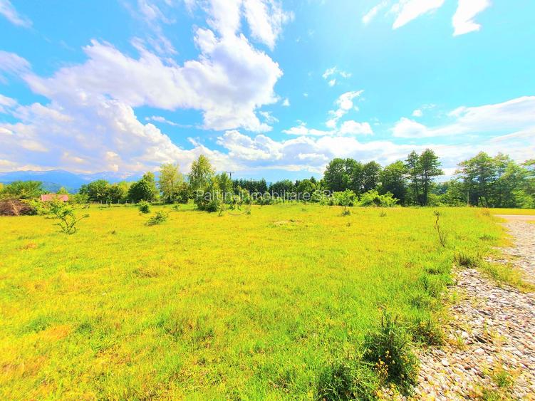 Teren intravilan 1000 mp, Valea Avrigului - 2